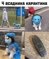 ���� � ���������