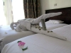 ���� � ���������