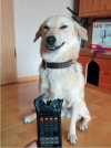 ���� � ���������